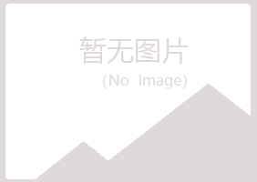 偃师紫蓝采矿有限公司